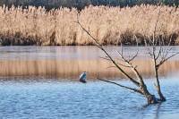Bergsenkungsgebiet Bettendorfer Fließ